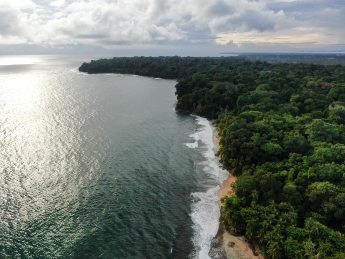 Хостел Corcovado Adventures Драке Экстерьер фото