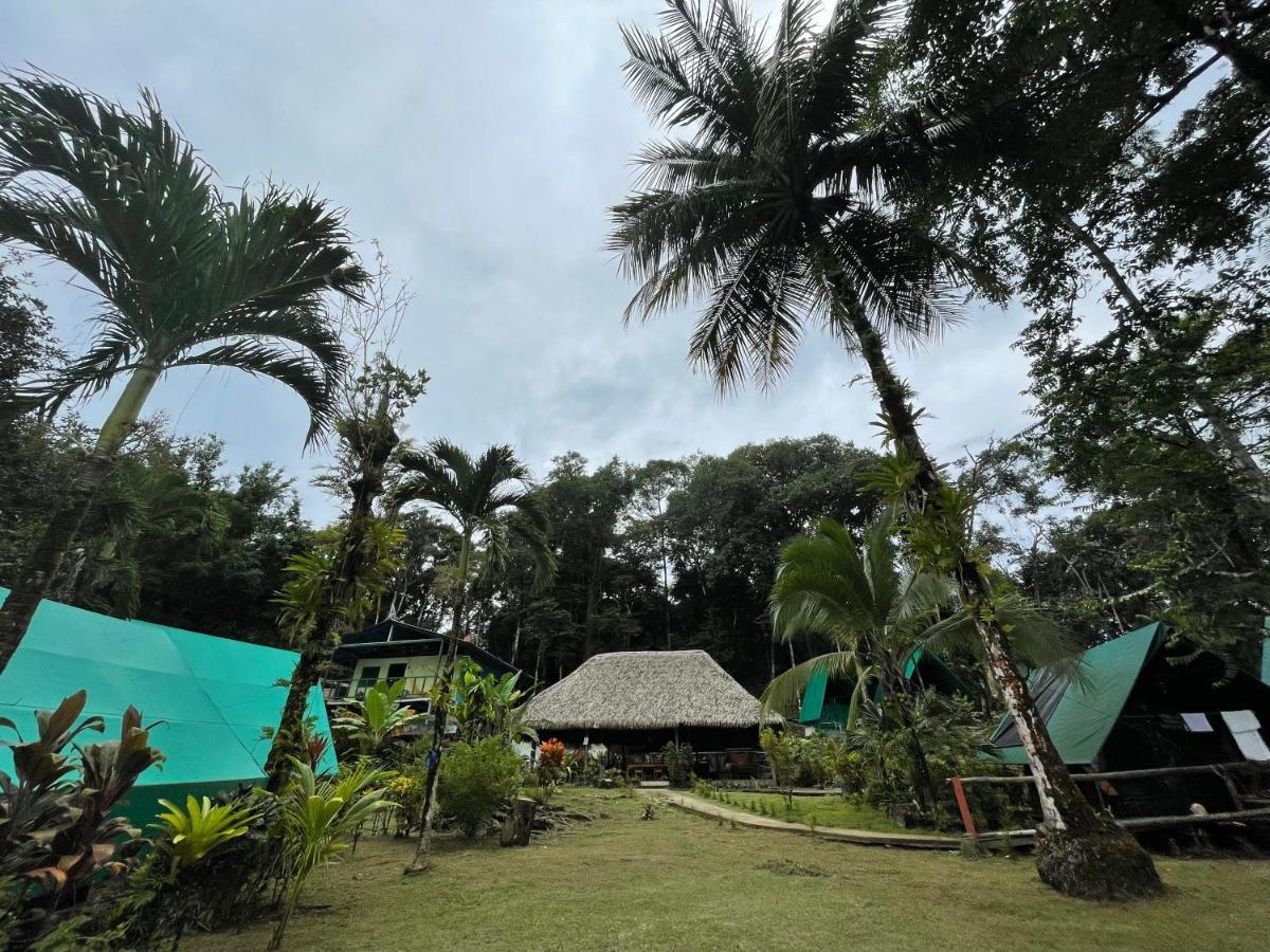 Хостел Corcovado Adventures Драке Экстерьер фото