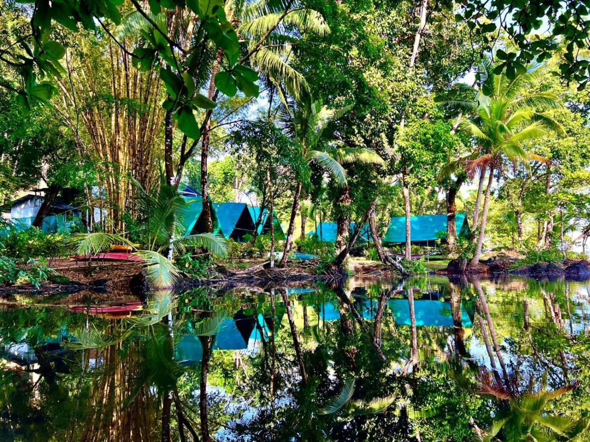 Хостел Corcovado Adventures Драке Экстерьер фото