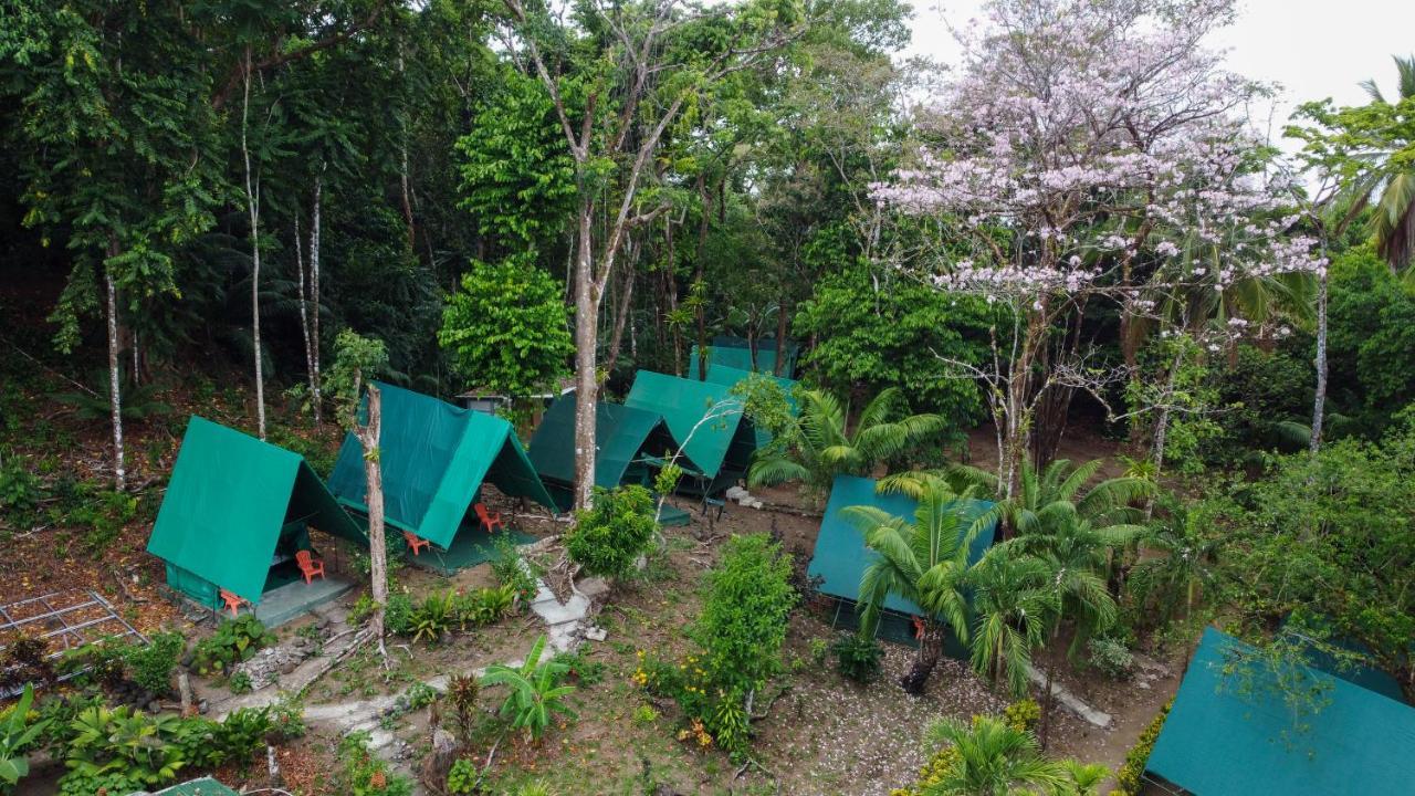 Хостел Corcovado Adventures Драке Экстерьер фото