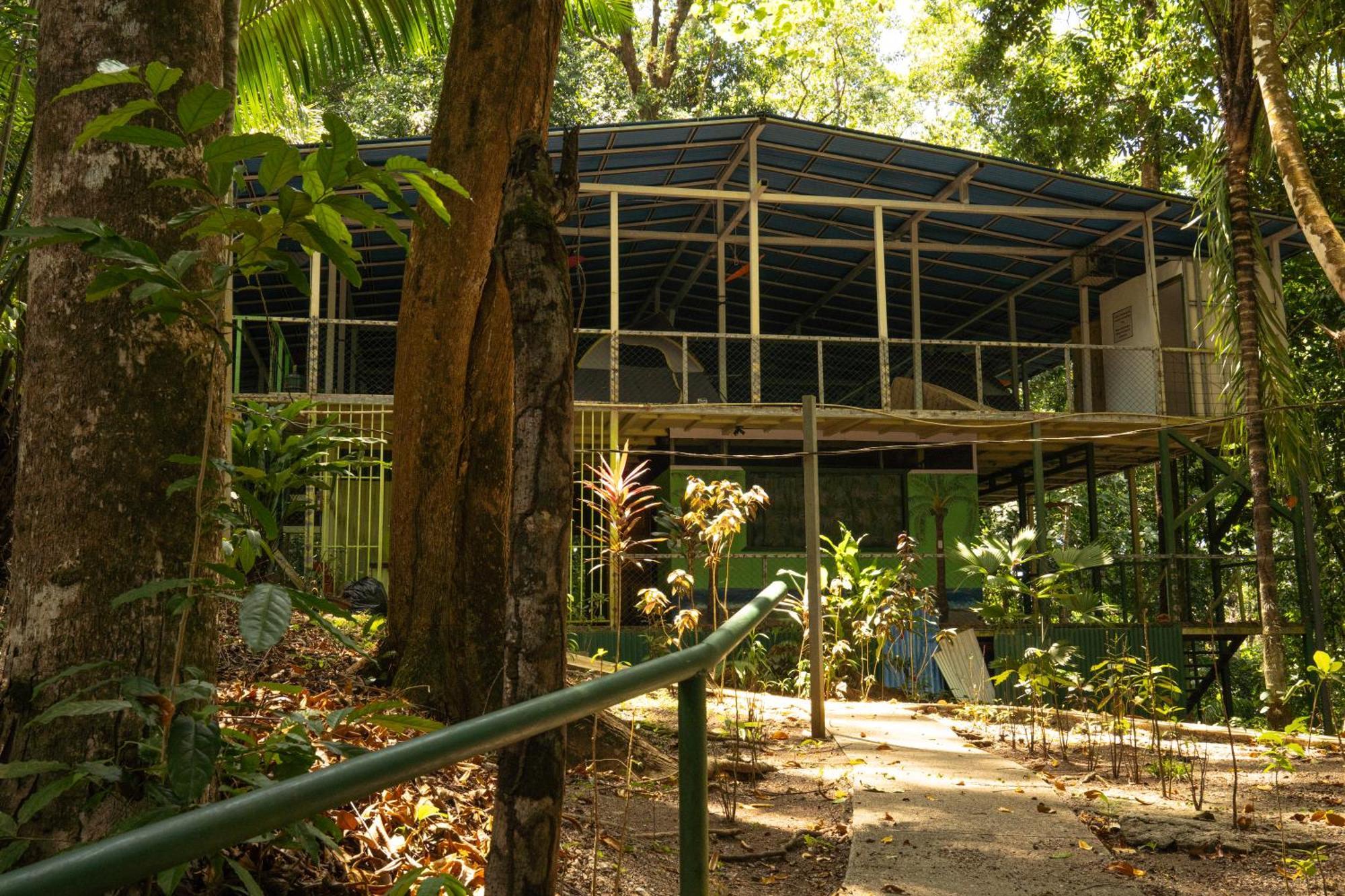 Хостел Corcovado Adventures Драке Экстерьер фото