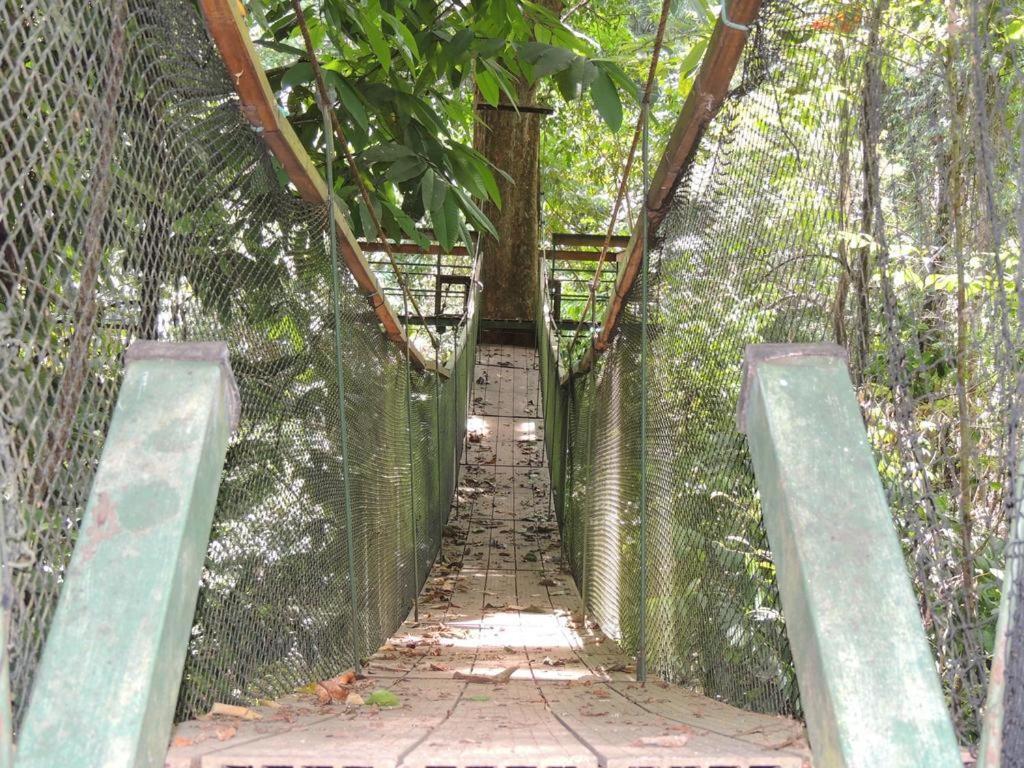 Хостел Corcovado Adventures Драке Экстерьер фото