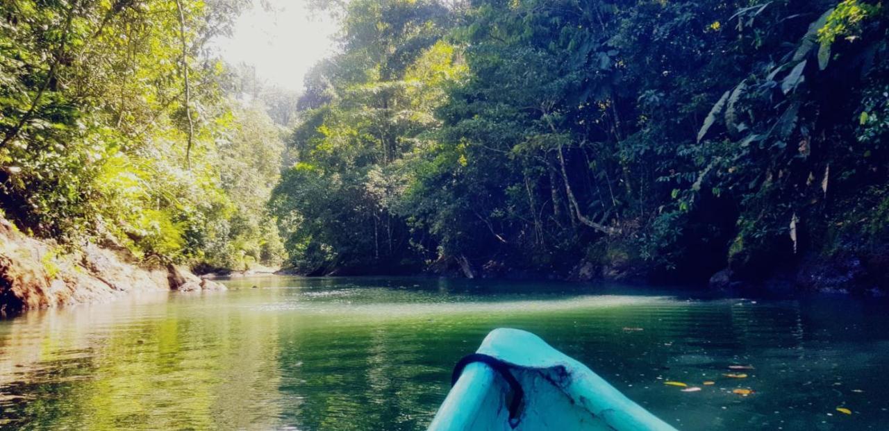 Хостел Corcovado Adventures Драке Экстерьер фото